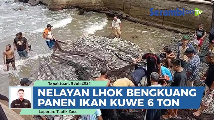 yg kedua itu ada hasil laut yang sangat melimpah yg dimana sebgaian masyarakat profesinya nelayan
